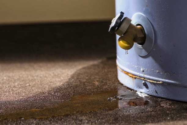 Best Water damage cleanup near me  in Port Lavaca, TX