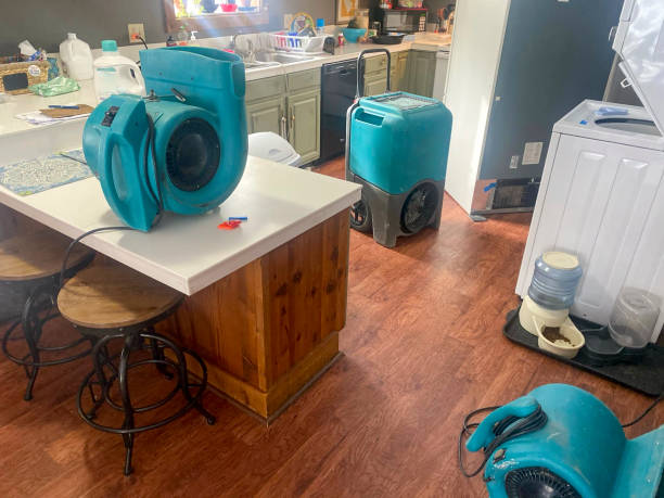 Best Carpet water damage restoration  in Port Lavaca, TX
