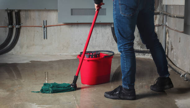 Best Fire Damage Restoration  in Port Lavaca, TX