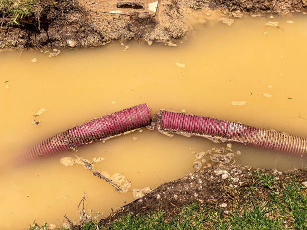 Best 24/7 water damage repair  in Port Lavaca, TX