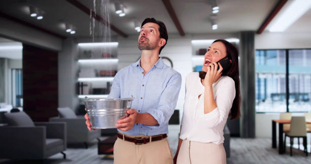 Best Ceiling water damage repair  in Port Lavaca, TX