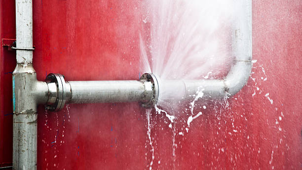 Best Local water damage restoration  in Port Lavaca, TX