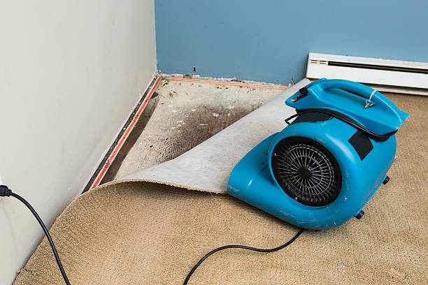 Water damage restoration mold remediation in Port Lavaca, TX